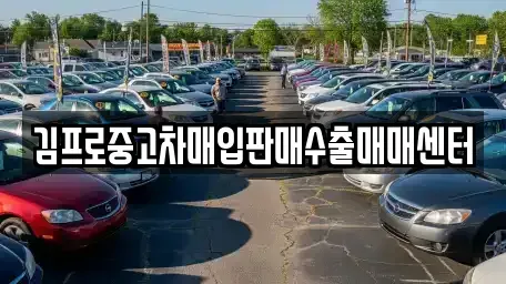 경상남도 밀양시 중고차매입 전문 김프로중고차매입판매수출매매센터