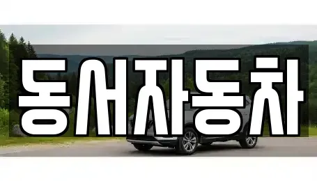 경상남도 창원시 마산합포구 대내동 중고차 전문 동서자동차