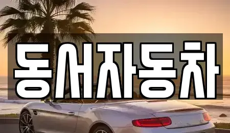 경상남도 창원시 의창구 북동 중고차매매 전문 동서자동차