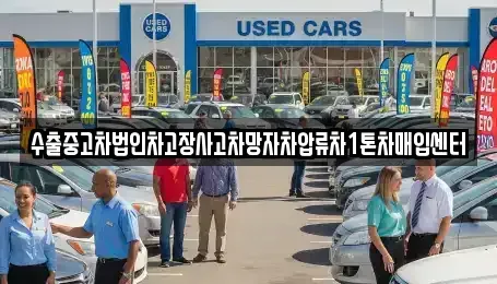 경상남도 창원시 의창구 북동 중고차매매,단기렌트카,중고차매입,장기렌트카,중고차,렌트카