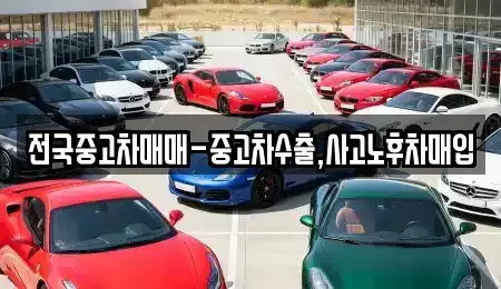 경상남도 창원시 의창구 북동 중고차매입 전문 전국중고차매매-중고차수출,사고노후차매입