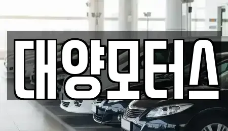 광주 동구 대의동 중고차 전문 대양모터스