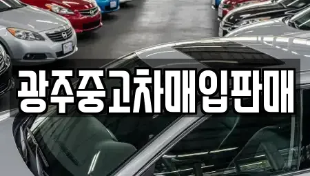 광주 동구 대의동 중고차매입 전문 광주중고차매입판매