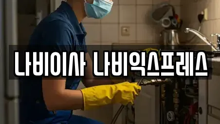 나비이사 나비익스프레스