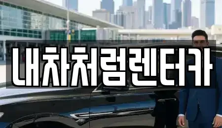 대구광역시 군위군 부계면 렌트카 전문 내차처럼렌터카