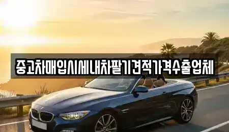 대구광역시 군위군 부계면 단기렌트카,중고차매입,중고차매매,중고차,렌트카,장기렌트카