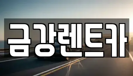 대구광역시 남구 봉덕동 렌트카 전문 금강렌트카