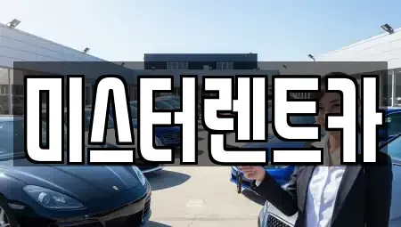 대구광역시 남구 봉덕동 장기렌트카 전문 미스터렌트카