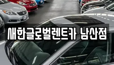 대구광역시 남구 봉덕동 장기렌트카 전문 새한글로벌렌트카 남산점