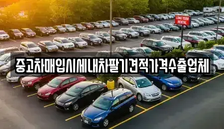 대구광역시 남구 봉덕동 중고차 전문 중고차매입시세내차팔기견적가격수출업체