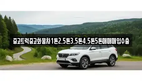 대구광역시 남구 봉덕동 중고차 전문 중고트럭중고화물차1톤2.5톤3.5톤4.5톤5톤매매매입수출
