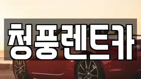대전광역시 대덕구 용호동 렌트카 전문 청풍렌트카
