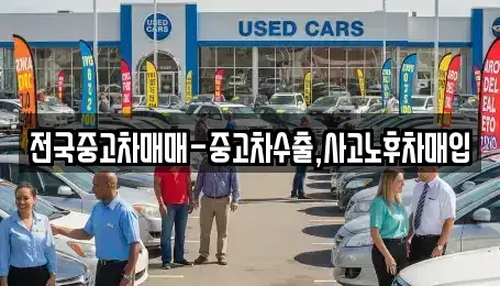 대전광역시 대덕구 용호동 중고차매입 전문 전국중고차매매-중고차수출,사고노후차매입