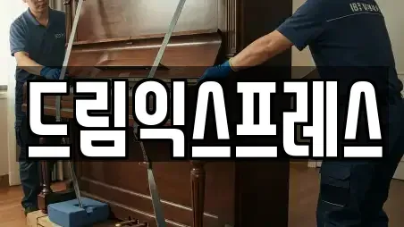 드림익스프레스