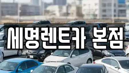 부산 영도구 신선동3가 렌트카 전문 세명렌트카 본점