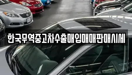 부산 영도구 신선동3가 중고차매매 전문 한국무역중고차수출매입매매판매시세