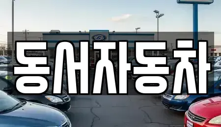 부산광역시 강서구 구랑동 중고차 전문 동서자동차