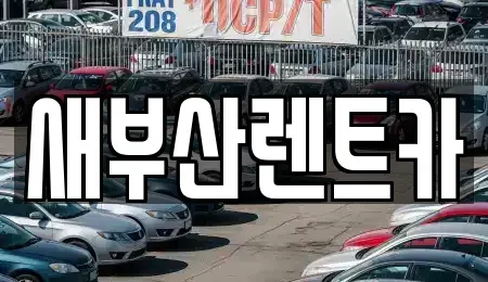부산광역시 서구 암남동 렌트카 전문 새부산렌트카