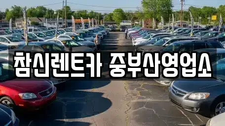 부산광역시 서구 암남동 렌트카,단기렌트카,장기렌트카,중고차,중고차매매,중고차매입