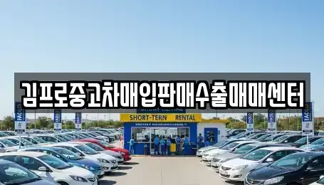 부산광역시 서구 암남동 중고차 전문 김프로중고차매입판매수출매매센터