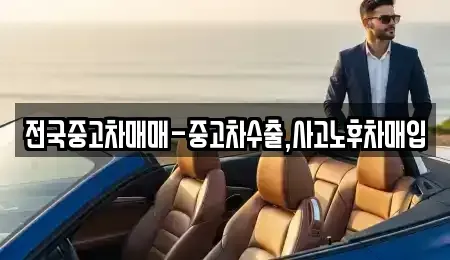 부산광역시 서구 암남동 중고차 전문 전국중고차매매-중고차수출,사고노후차매입