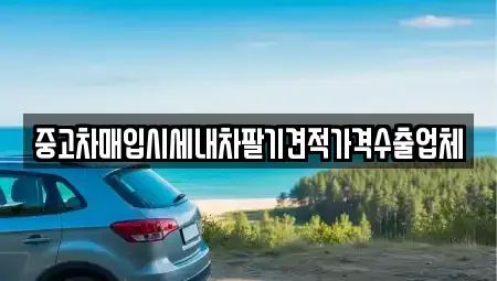 부산광역시 서구 암남동 중고차매매 전문 중고차매입시세내차팔기견적가격수출업체