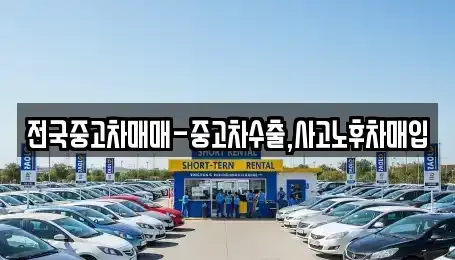 부산광역시 해운대구 중동 중고차 전문 전국중고차매매-중고차수출,사고노후차매입
