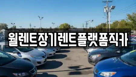 서울 강동구 상일동 장기렌트카 전문 월렌트장기렌트플랫폼직카