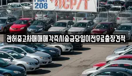 서울 강동구 상일동 중고차 전문 관허중고차매매매각즉시송금당일이전무료출장견적