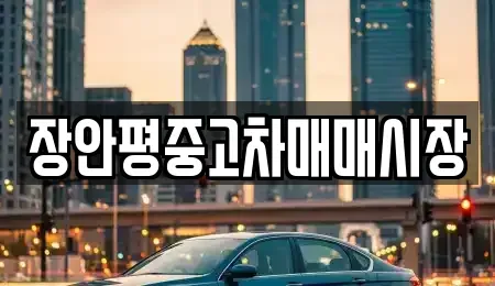 서울 강동구 상일동 중고차매매 전문 장안평중고차매매시장