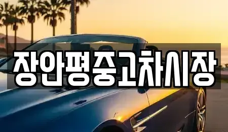 서울 강동구 상일동 중고차매매 전문 장안평중고차시장