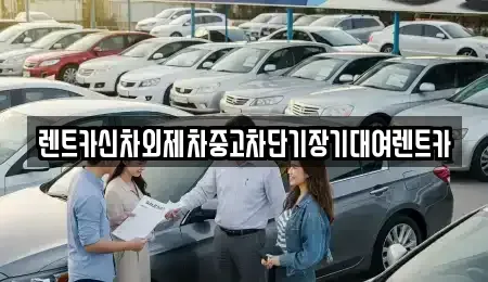 서울 종로구 신문로2가 장기렌트카 전문 렌트카신차외제차중고차단기장기대여렌트카