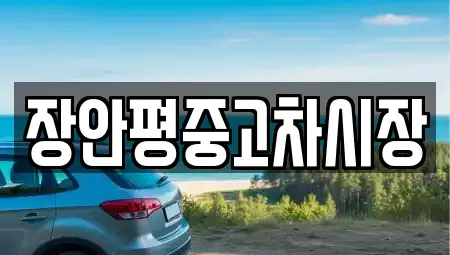 서울 종로구 신문로2가 중고차 전문 장안평중고차시장