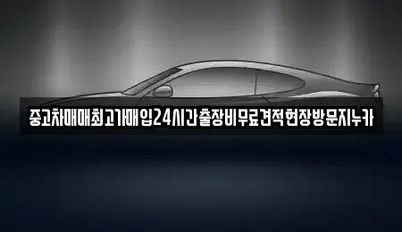 서울 종로구 신문로2가 중고차 전문 중고차매매최고가매입24시간출장비무료견적현장방문지누카