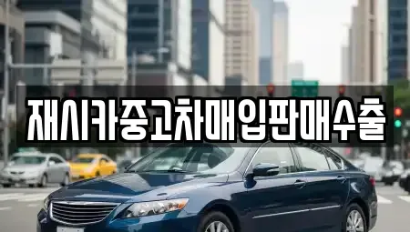 서울특별시 성동구 성수동1가 중고차 전문 재시카중고차매입판매수출