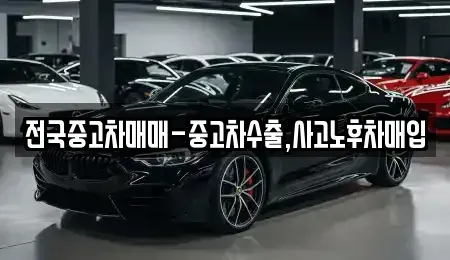 서울특별시 성동구 성수동1가 중고차 전문 전국중고차매매-중고차수출,사고노후차매입