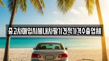 서울특별시 성동구 성수동1가 중고차 전문 중고차매입시세내차팔기견적가격수출업체