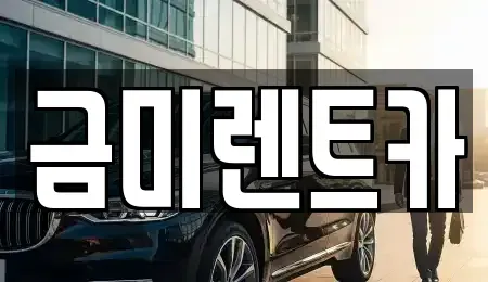 서울특별시 영등포구 양평동4가 렌트카 전문 금미렌트카