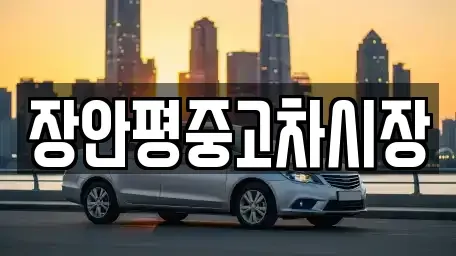서울특별시 영등포구 양평동4가 중고차 전문 장안평중고차시장