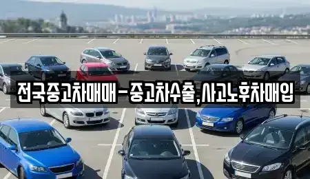서울특별시 영등포구 양평동4가 중고차매입 전문 전국중고차매매-중고차수출,사고노후차매입