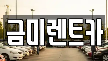 서울특별시 종로구 적선동 렌트카 전문 금미렌트카