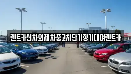 서울특별시 종로구 적선동 장기렌트카 전문 렌트카신차외제차중고차단기장기대여렌트카