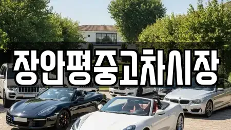 서울특별시 종로구 적선동 중고차 전문 장안평중고차시장