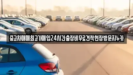서울특별시 종로구 적선동 중고차 전문 중고차매매최고가매입24시간출장비무료견적현장방문지누카