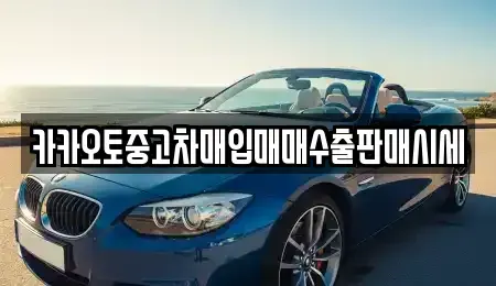서울특별시 종로구 적선동 중고차 전문 카카오토중고차매입매매수출판매시세