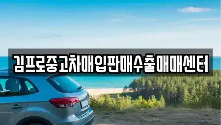서울특별시 종로구 적선동 중고차매입 전문 김프로중고차매입판매수출매매센터