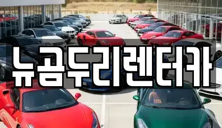 울산 울주군 상북면 렌트카 전문 뉴곰두리렌터카