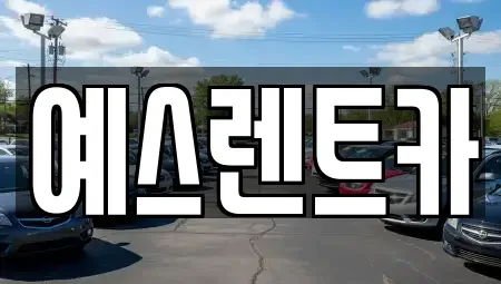 울산 울주군 상북면 렌트카 전문 예스렌트카