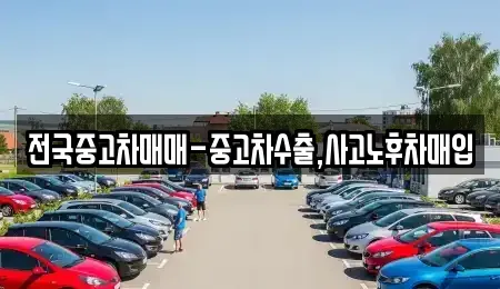 울산광역시 북구 염포동 중고차 전문 전국중고차매매-중고차수출,사고노후차매입