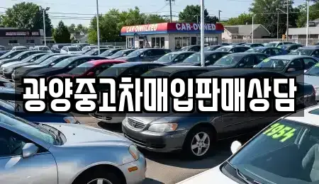 전남 광양시 태인동 중고차 전문 광양중고차매입판매상담